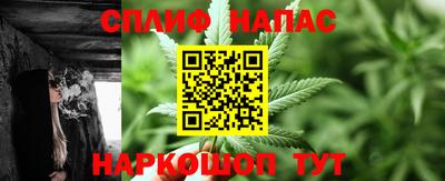 стаф Бузулук